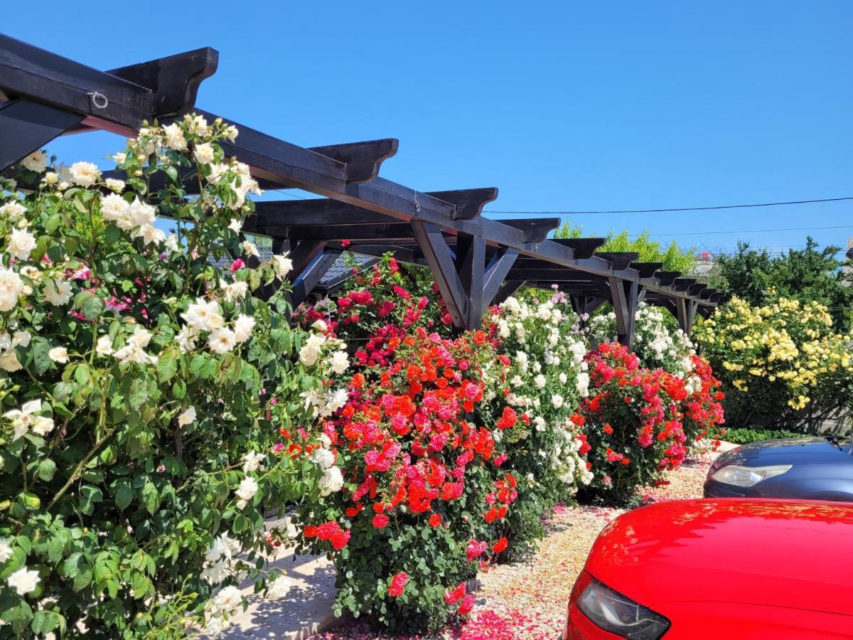 Kys House Hotel เตคีร์กิโอล ภายนอก รูปภาพ
