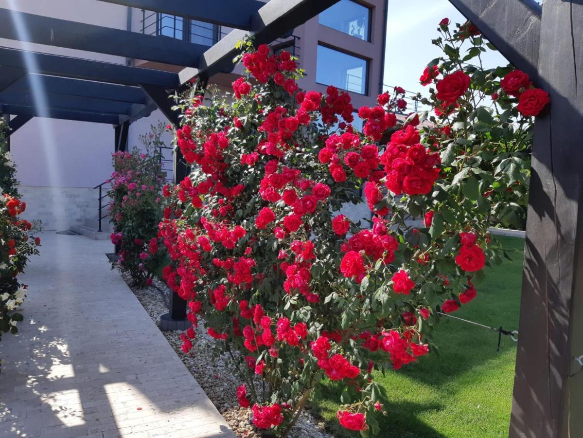Kys House Hotel เตคีร์กิโอล ภายนอก รูปภาพ