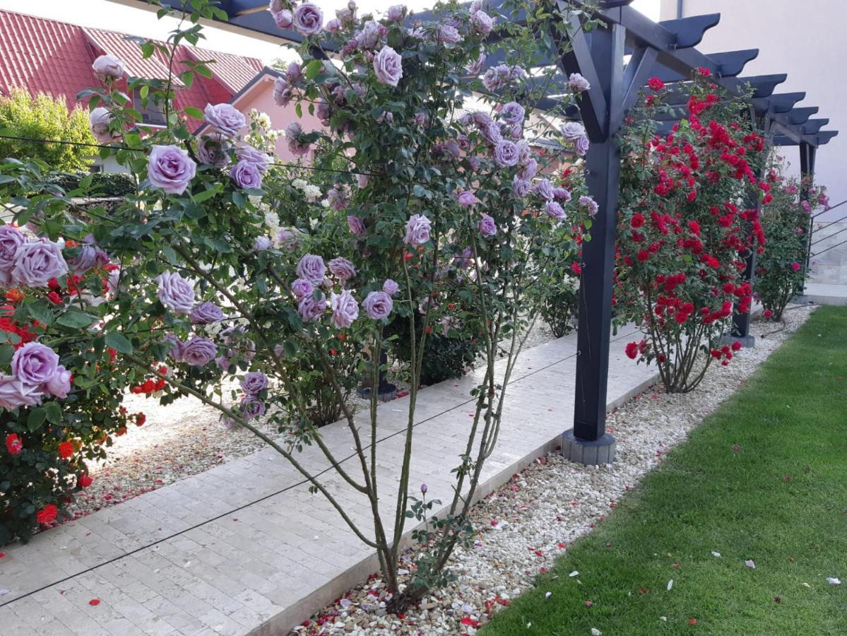 Kys House Hotel เตคีร์กิโอล ภายนอก รูปภาพ